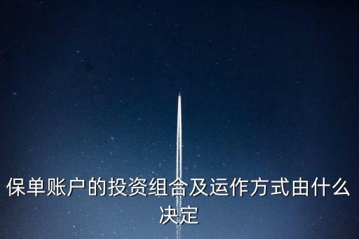 保單賬戶的投資組合及運作方式由什么決定