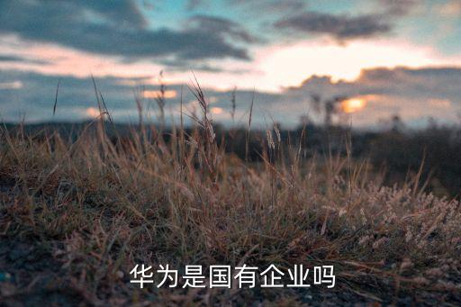 華為是什么類(lèi)型的公司,華為p60是什么屏幕類(lèi)型