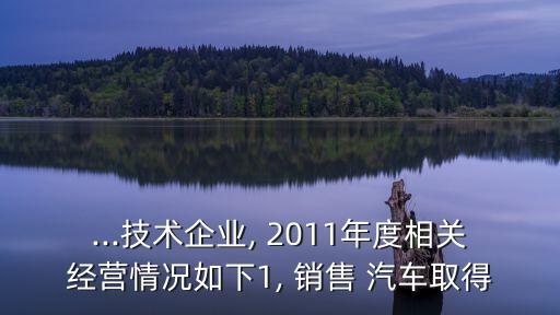 ...技術(shù)企業(yè), 2011年度相關經(jīng)營情況如下1, 銷售 汽車取得