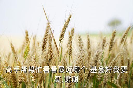 高手幫幫忙看看最近哪個(gè) 基金好我要買(mǎi),謝謝