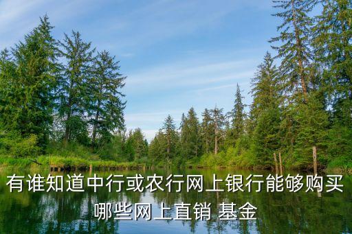 有誰(shuí)知道中行或農(nóng)行網(wǎng)上銀行能夠購(gòu)買(mǎi)哪些網(wǎng)上直銷(xiāo) 基金