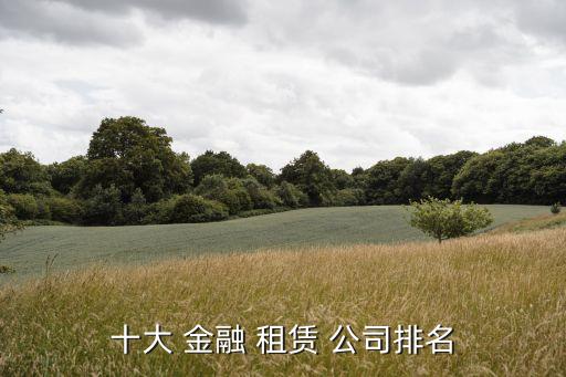 金融租賃公司和銀行,銀行系金融租賃公司