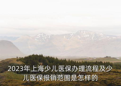 2023年上海少兒醫(yī)保辦理流程及少兒醫(yī)保報(bào)銷范圍是怎樣的