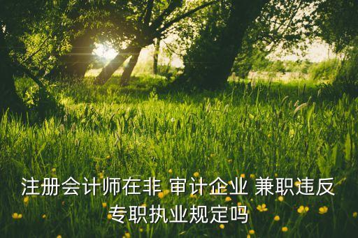注冊(cè)會(huì)計(jì)師在非 審計(jì)企業(yè) 兼職違反專職執(zhí)業(yè)規(guī)定嗎