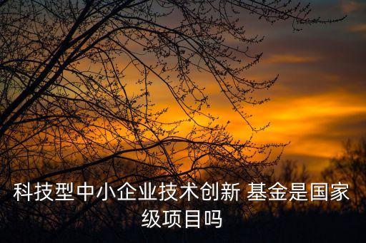科技型中小企業(yè)技術創(chuàng)新 基金是國家級項目嗎