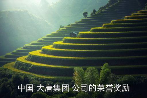 大唐多倫煤化工有限責任公司,大唐內蒙古多倫煤化工有限責任公司電話