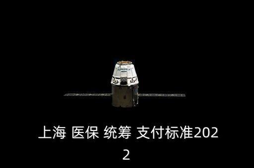  上海 醫(yī)保 統(tǒng)籌 支付標準2022