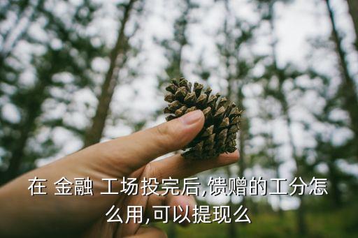 在 金融 工場投完后,饋贈的工分怎么用,可以提現(xiàn)么
