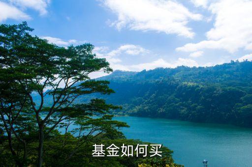  基金如何買(mǎi)
