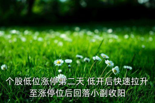 股票連續(xù)兩天低開(kāi)高走