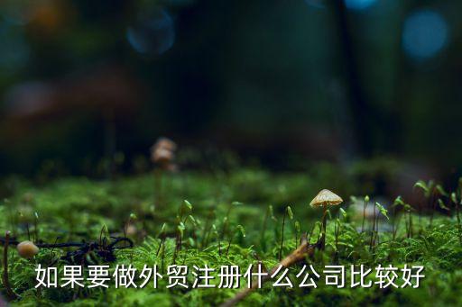 如果要做外貿(mào)注冊什么公司比較好