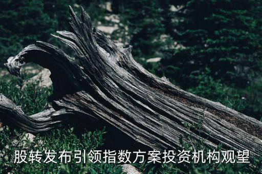  股轉(zhuǎn)發(fā)布引領(lǐng)指數(shù)方案投資機構(gòu)觀望
