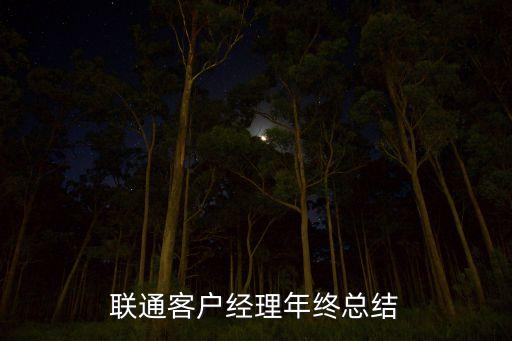 聯(lián)通客戶經(jīng)理年終總結