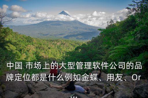 中國 市場上的大型管理軟件公司的品牌定位都是什么例如金蝶、用友、Or...