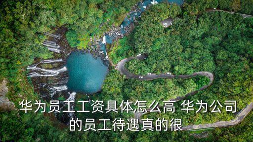 上海華為終端年終獎,華為上海終端業(yè)務(wù)部是做什么的