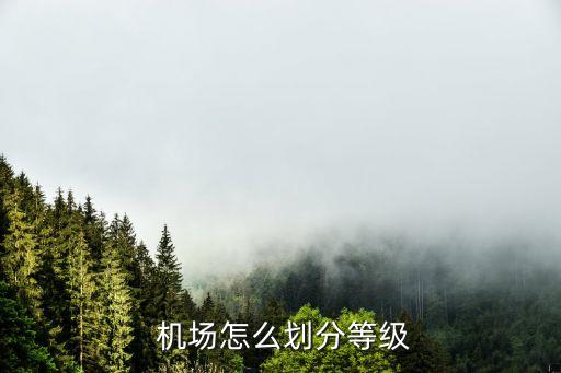  機場怎么劃分等級