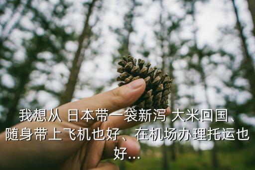 我想從 日本帶一袋新瀉 大米回國、隨身帶上飛機也好、在機場辦理托運也好...