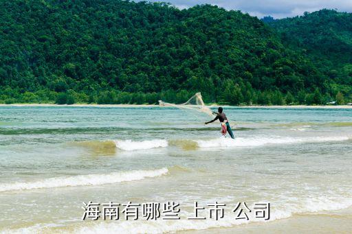 中小板有多少上市公司,中國(guó)中小板上市公司價(jià)值五十強(qiáng)