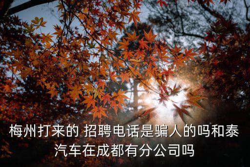 梅州打來的 招聘電話是騙人的嗎和泰汽車在成都有分公司嗎