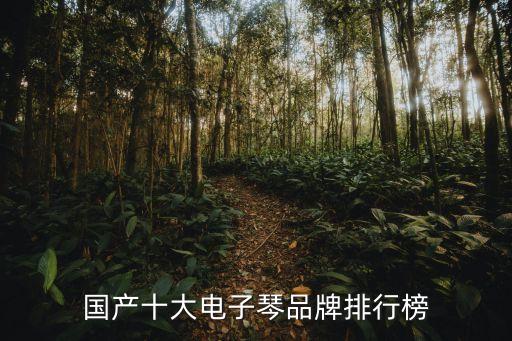 國產十大電子琴品牌排行榜