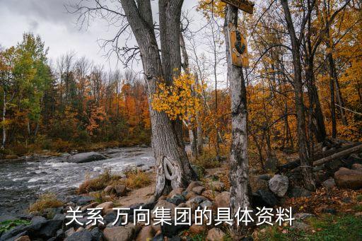 關(guān)系 萬向集團的具體資料