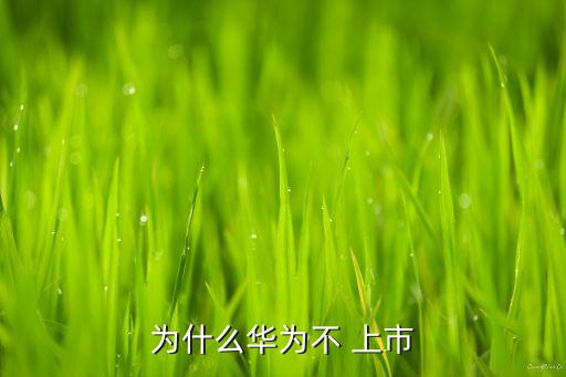 為什么華為不 上市