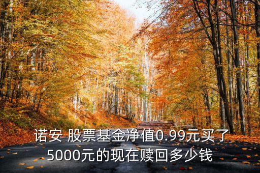 諾安股票股吧,諾安基金持有的股票