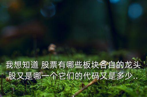 我想知道 股票有哪些板塊各自的龍頭股又是哪一個它們的代碼又是多少...