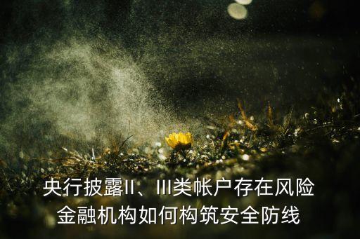 央行披露II、III類帳戶存在風險金融機構如何構筑安全防線