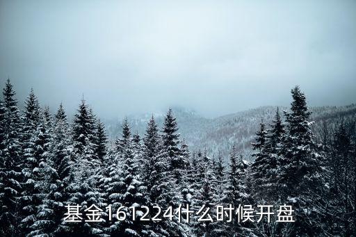 國(guó)投新絲路基金在哪銀行買,國(guó)投瑞銀新絲路混合基金