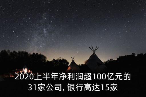 2020上半年凈利潤(rùn)超100億元的31家公司, 銀行高達(dá)15家