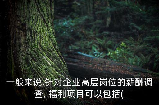 一般來說,針對企業(yè)高層崗位的薪酬調(diào)查, 福利項目可以包括(