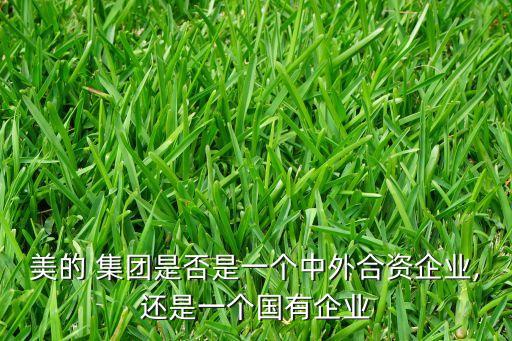 美的 集團(tuán)是否是一個(gè)中外合資企業(yè),還是一個(gè)國(guó)有企業(yè)