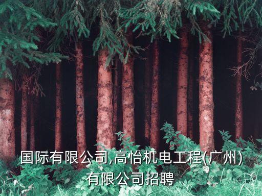 高怡國際有限公司,高怡機電工程(廣州)有限公司招聘