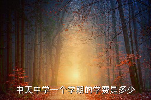 中天中學(xué)一個學(xué)期的學(xué)費是多少