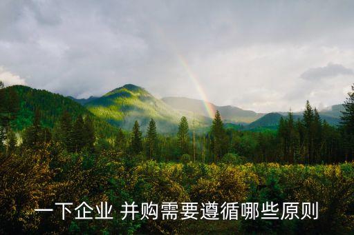 一下企業(yè) 并購需要遵循哪些原則