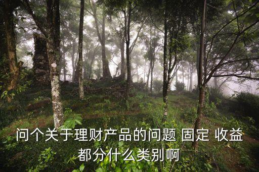 問個(gè)關(guān)于理財(cái)產(chǎn)品的問題 固定 收益都分什么類別啊