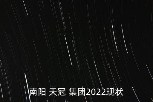 南陽 天冠 集團(tuán)2022現(xiàn)狀