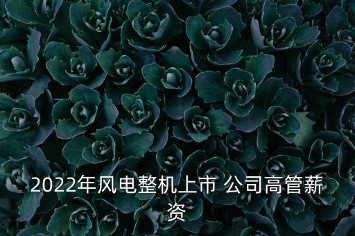 2022年風(fēng)電整機(jī)上市 公司高管薪資