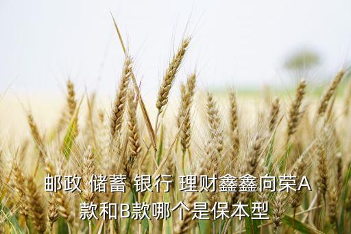  郵政 儲蓄 銀行 理財(cái)鑫鑫向榮A款和B款哪個(gè)是保本型