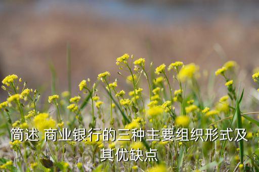 簡(jiǎn)述 商業(yè)銀行的三種主要組織形式及其優(yōu)缺點(diǎn)
