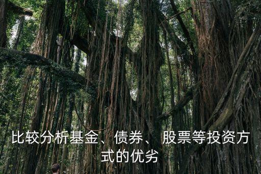 比較分析基金、債券、 股票等投資方式的優(yōu)劣
