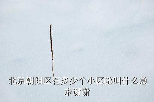 北京國際財(cái)經(jīng)中心虛擬地址