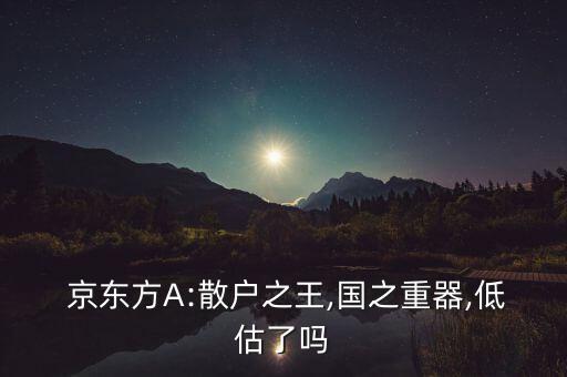  京東方A:散戶之王,國(guó)之重器,低估了嗎