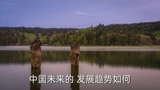 中國未來的 發(fā)展趨勢如何