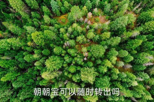 招商銀行隨時(shí)贖回