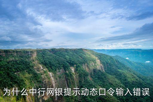 為什么中行網(wǎng)銀提示動(dòng)態(tài)口令輸入錯(cuò)誤