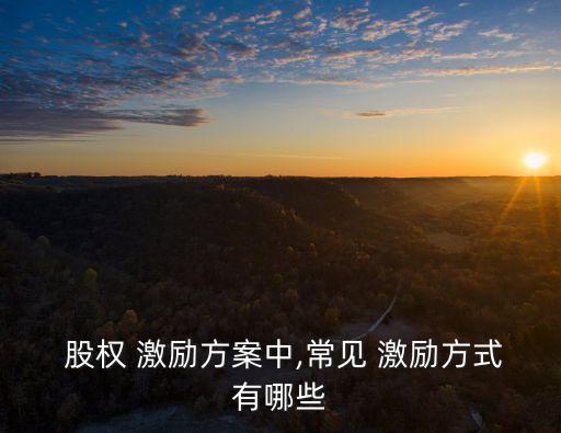  股權(quán) 激勵(lì)方案中,常見(jiàn) 激勵(lì)方式有哪些