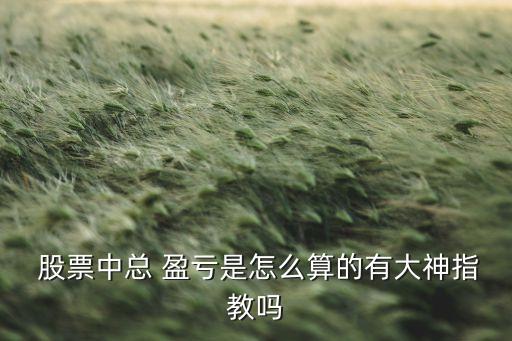 如何計算股票賬戶盈虧,銀河證券查詢股票賬戶總盈虧