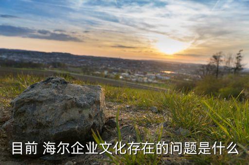目前 海爾企業(yè)文化存在的問(wèn)題是什么